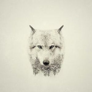 Meet your Posher, Jesse